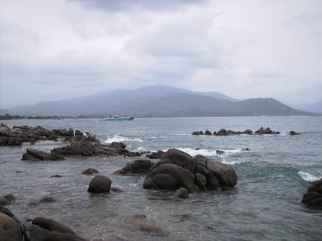 pict0230.jpg