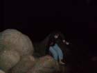 pict0258_small.jpg
